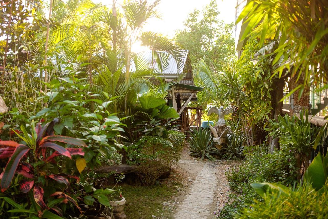 The Three P Beach Resort & Dive Center Agnay Extérieur photo
