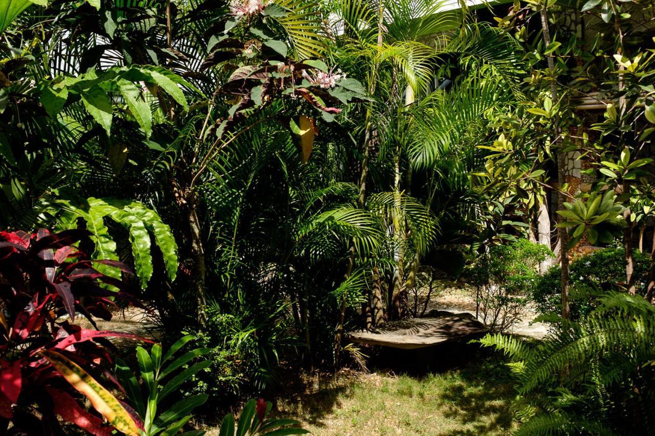 The Three P Beach Resort & Dive Center Agnay Extérieur photo