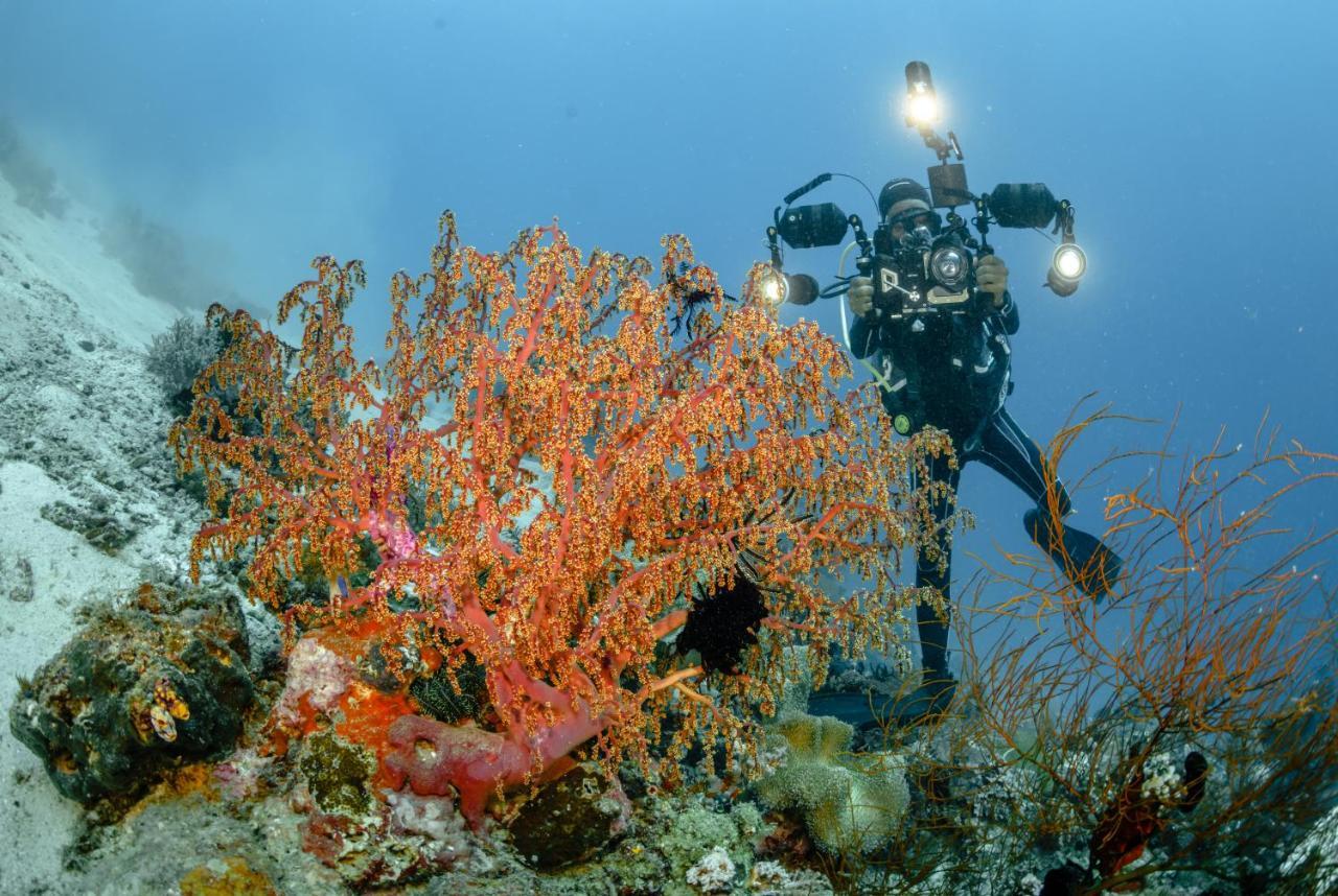 The Three P Beach Resort & Dive Center Agnay Extérieur photo