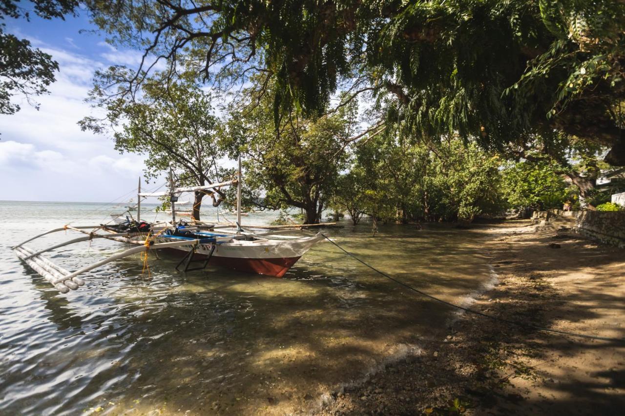 The Three P Beach Resort & Dive Center Agnay Extérieur photo