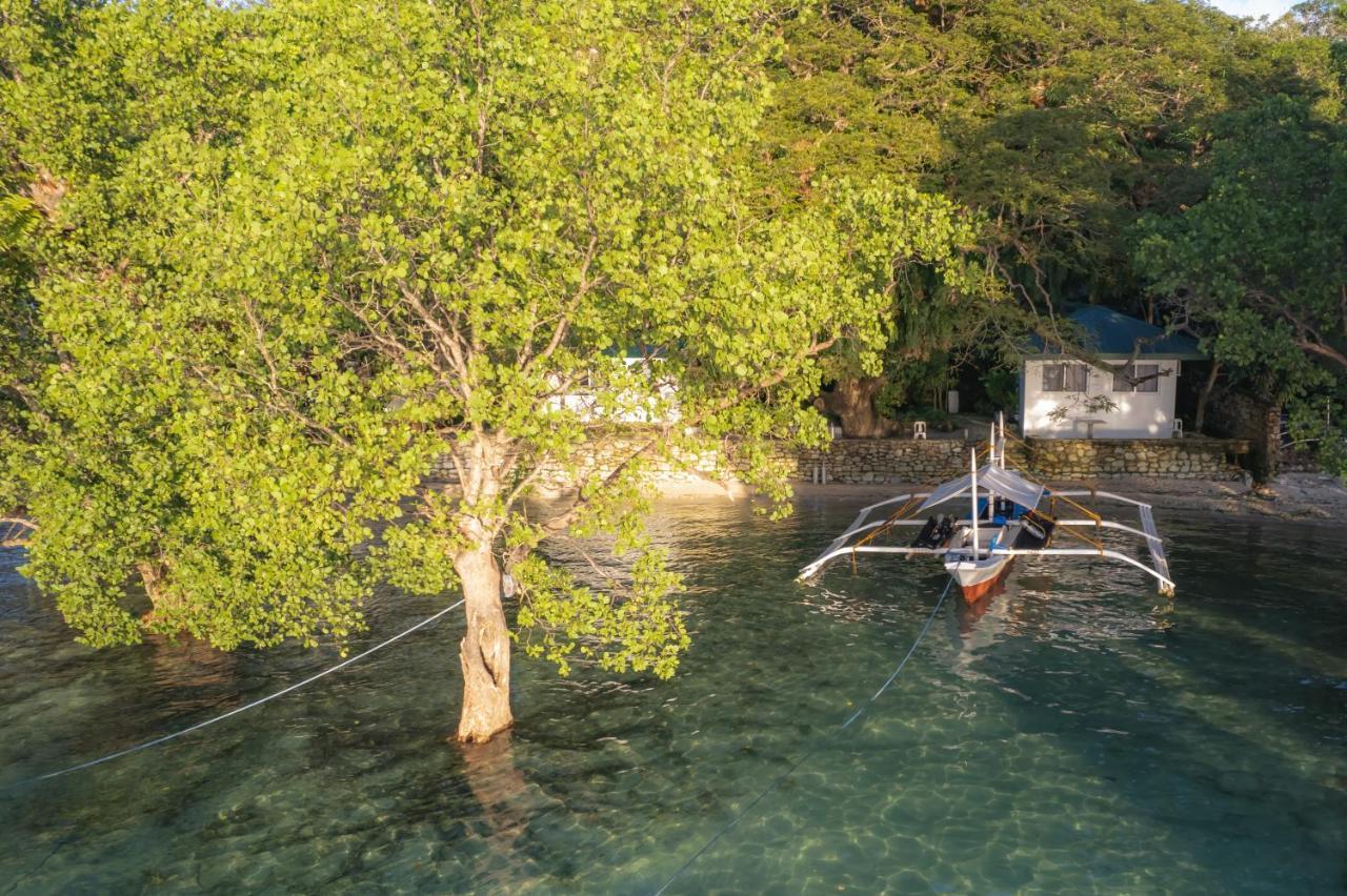 The Three P Beach Resort & Dive Center Agnay Extérieur photo